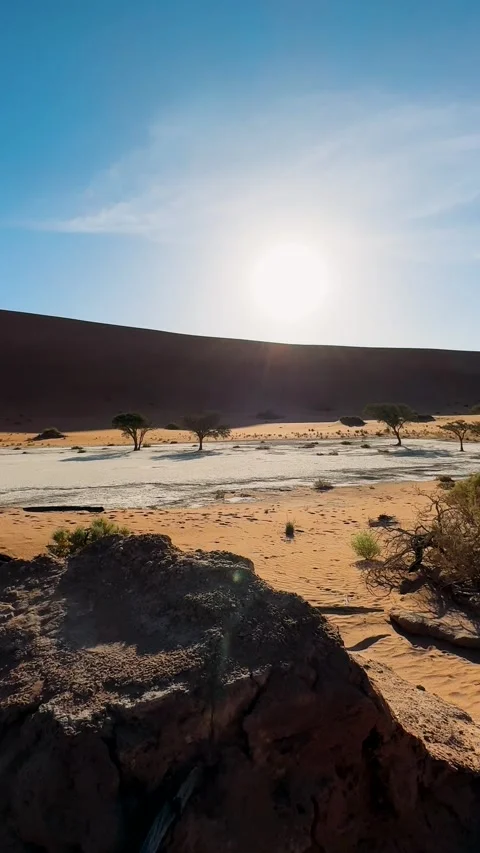 Namibia, dried trees in the desert, vibrant colors	 Видео 333570604
