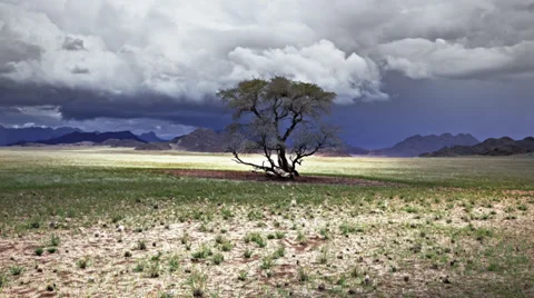 Namibia green desert Stock Footage 35165250