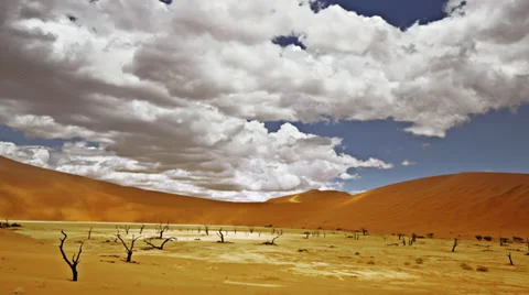 Namibia green desert Stock Footage 35165317