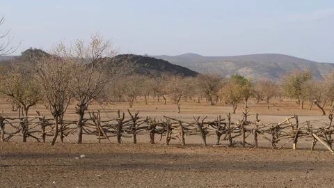 Namibia landscape, typical flora Opuwo, Africa in 4K Stock Footage 90877953