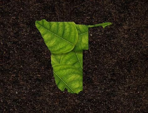 Namibia map made of green leaves on soil background ecology concept Stock Photos
