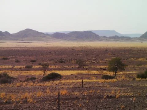Namibia Mountain Landscape With Animals 写真素材