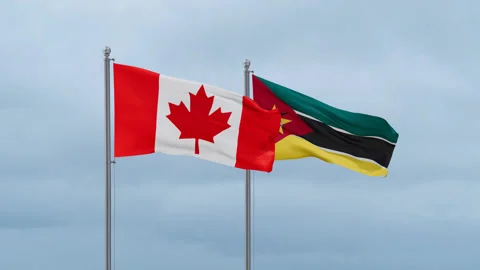 Namibia national flag Stock-Footage 252024827
