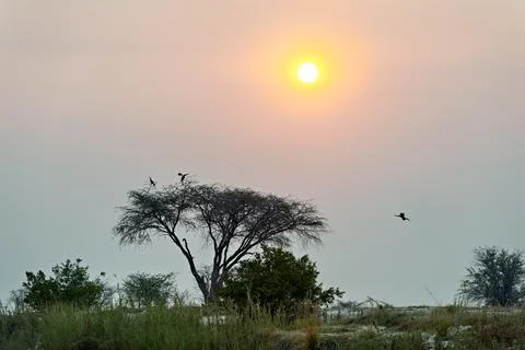 Namibia. The Okavango river area at dusk Stock Photos