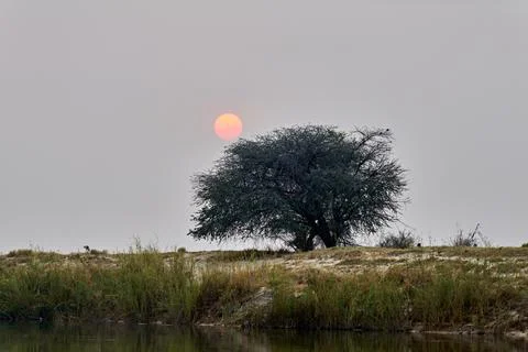 Namibia. The Okavango river area at dusk Stock Photos