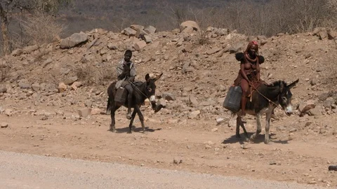 Namibia, people riding two donkeys, dry landscape, Africa in 4K Stock Footage 90910505