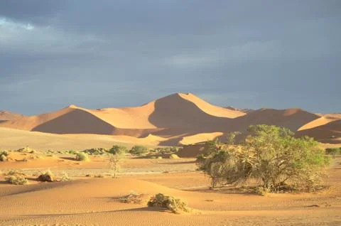 Namibia 写真素材