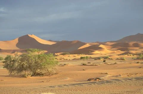 Namibia 写真素材
