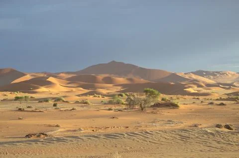 Namibia 写真素材