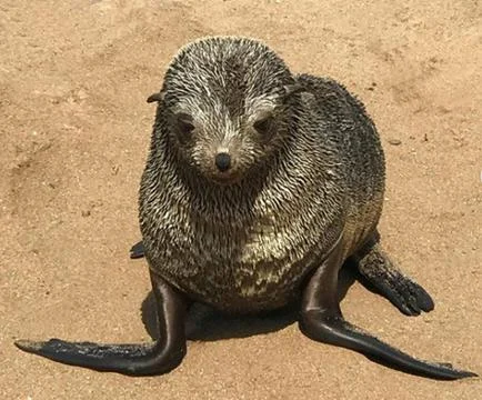 Namibia Stock Photos