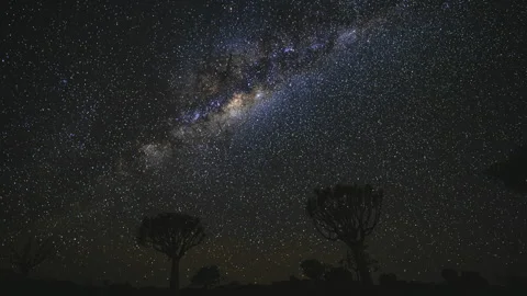 Namibia quiver tree forest Night Sky Milky Way Galaxy Time Lapse 스톡 동영상 339340886