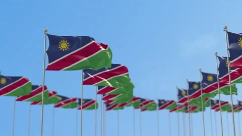 Namibia Row Of Flags Animation Vídeo Stock 148755211
