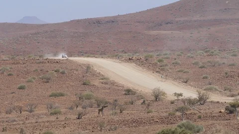 Namibia trip, car runs in dry landscap, giraffe in the background, Africa in 4K Stock Footage 90929416
