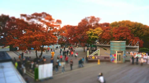 Namsan Miniature Stock Footage 32410911