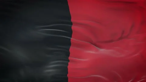 Namur flag waving in the wind with highly detailed fabric texture 動画素材 134903292