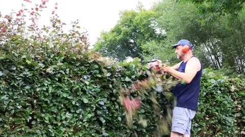 Nan cutting hedge with engine trimmer, gardening Stock Footage 247439484