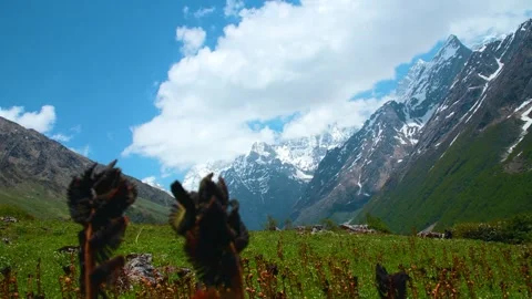 Nanda Devi peaks Himalayan mountain range in Valley of flowers National park Vídeos de archivo 277268012