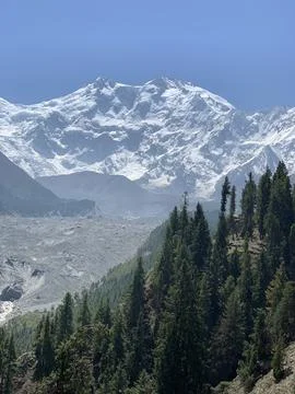 Nanga Parbat Forest Side View – Majestic Mountain Among Greenery Stock Photos