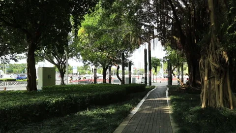 Nanning City Stock Footage 145857926