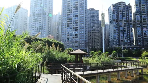 Nanning City 库存影片 145858071