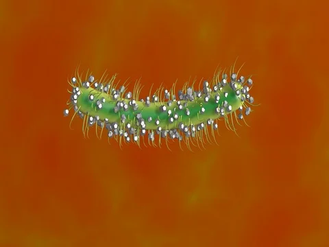 Nano machines attack , kill bacteria Stock Footage 73451388