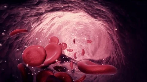 Nano-robot in the bloodstream Video stock 79695221