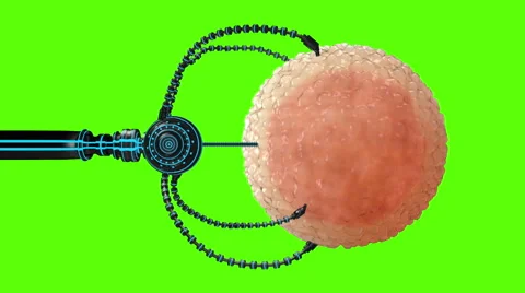 Nano robot fertilizes the cell egg. Medical concept  future. Green screen Stock Footage 59528755