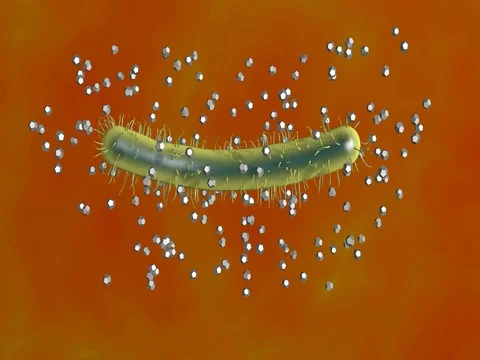 Nano robots swarm surround, attack bacteria Stock Footage 73451343