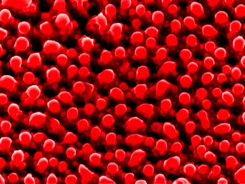 Nanostructures formed by a laser, SEM Foto stock