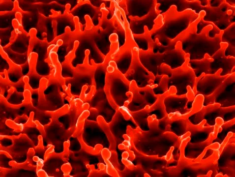 Nanostructures on gold, SEM Foto stock