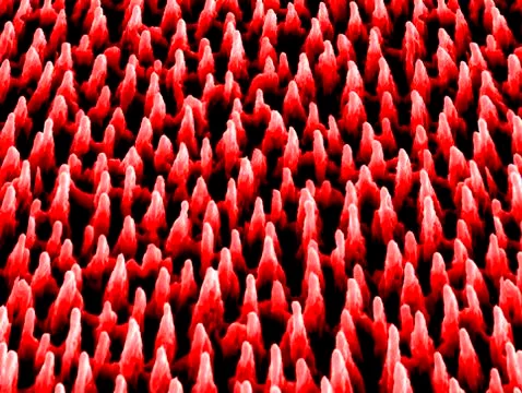 Nanostructures on silicon, SEM Foto stock