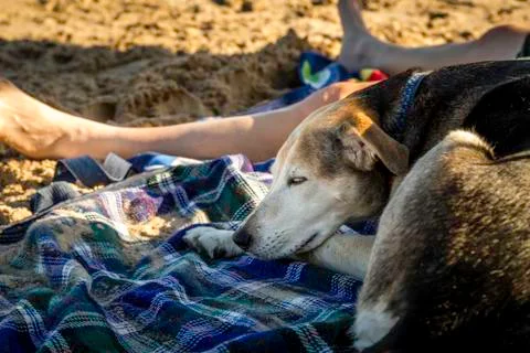 Nap on the beach Foto stock