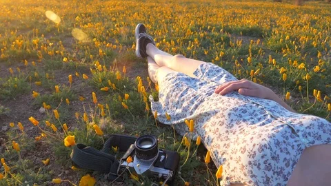 Nap in a field of wildflowers Stock Footage 127059355