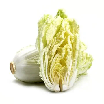 Napa cabbage against white background Stock Photos
