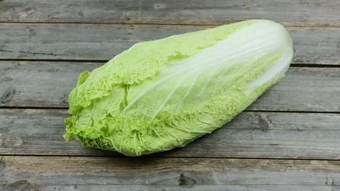 Napa cabbage or chinese cabbage isolated on grey background. Napa cabbage v.. Stock Photos