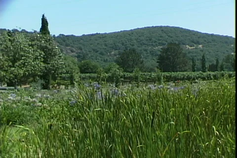 Napa Gardens Stock-Footage 819130