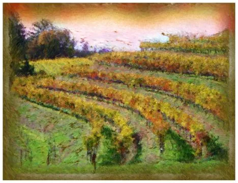 Napa Grapes Stock Illustration