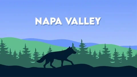 Napa Valley with beautiful view Stock Footage 307273331