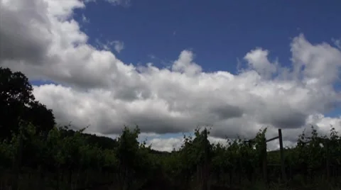 Napa Valley Clouds Time Lapse HD Video stock 7743936