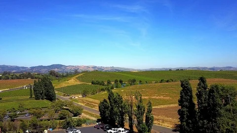 Napa Valley Stock Footage 125753069