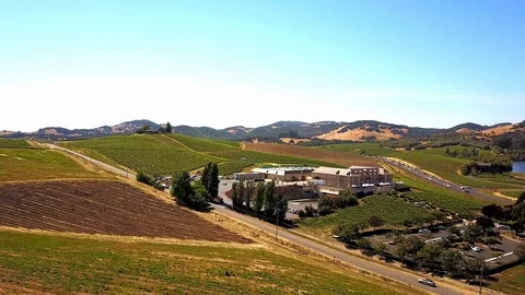 Napa Valley Stock Footage 125761419