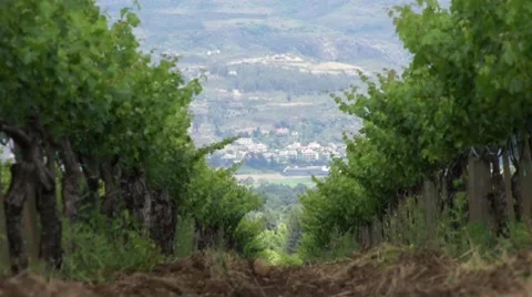 Napa Valley HD Vidéo 7743860