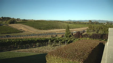 Napa valley landscape Stock Footage 45250003
