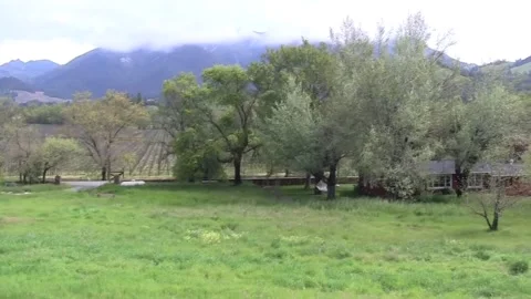 Napa Valley Pan Back &amp; Forth No Audio 55s Stock Footage 143998892