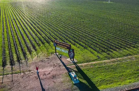 Napa Valley Sign Hyperlapse Stock Footage 170280065