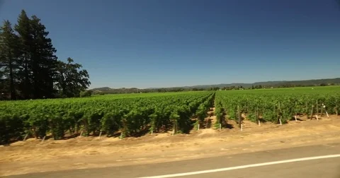 Napa valley sonoma valley California wine vineyard aerial drone stock footage Stock Footage
