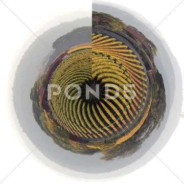 Napa Valley Vineyard Abstract Scenic Stock Illustration