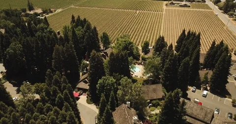 Napa valley vineyard fields and houses by wooded mountain. Drone aerial B Stock Footage 111583216