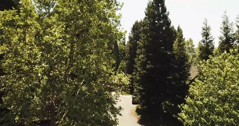 Napa valley vineyard fields and houses by wooded mountain. Drone aerial D Stock Footage 111583882