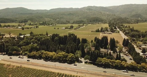 Napa valley vineyard fields and houses by wooded mountain. Drone aerial A Vídeo Stock 111584104